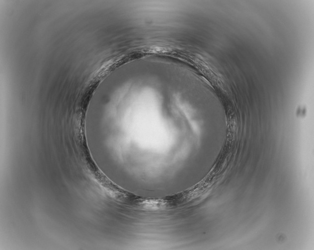 X0000093470415200711021237