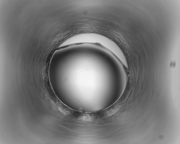 X0000093470416200711021237