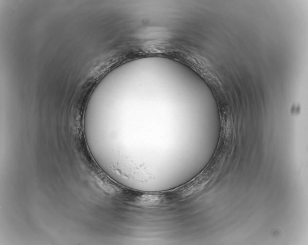 X0000093470418200711021237