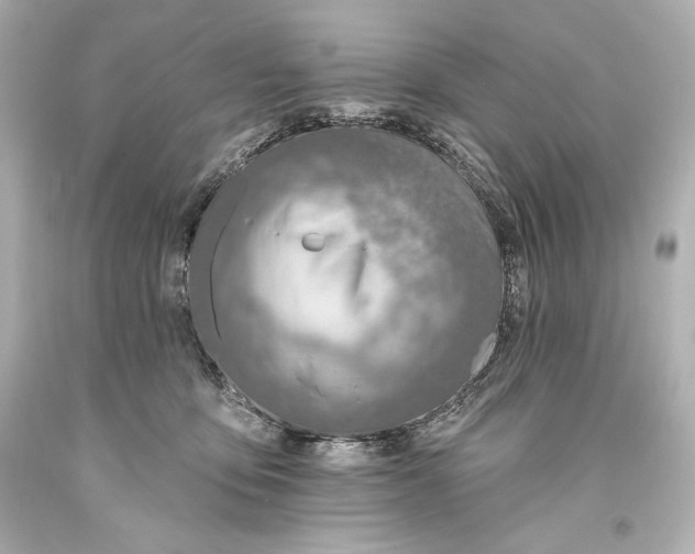 X0000093470419200711021237