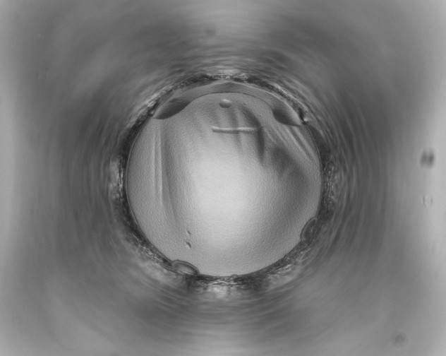 X0000093470420200711021237