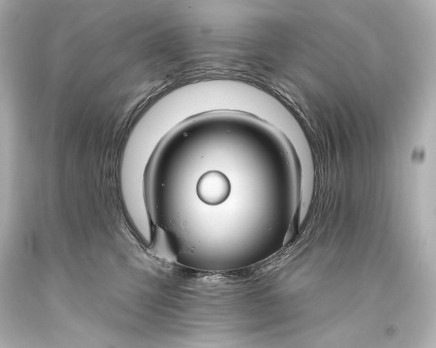 X0000093470423200711021236