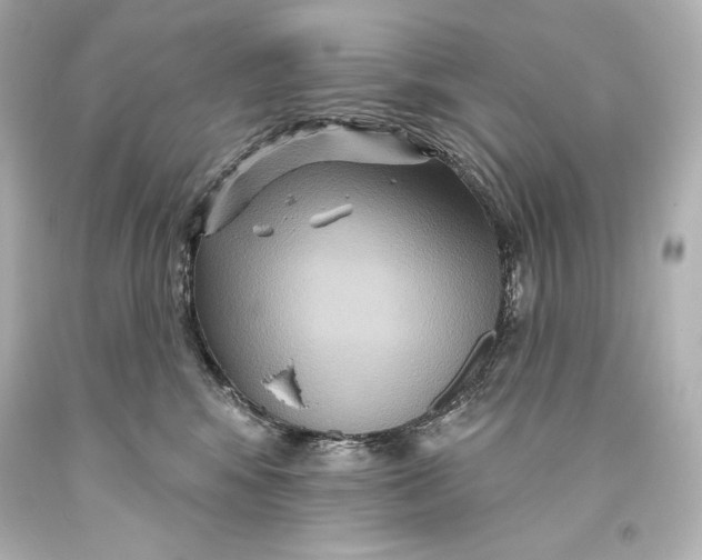 X0000093470424200711021236