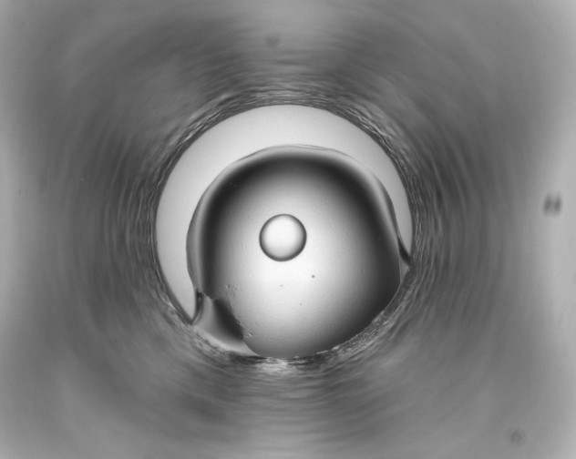 X0000093470425200711021236