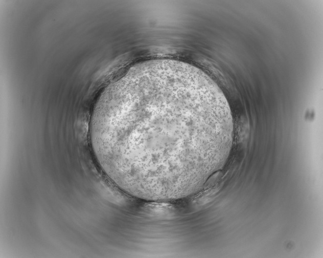 X0000093470427200711021236