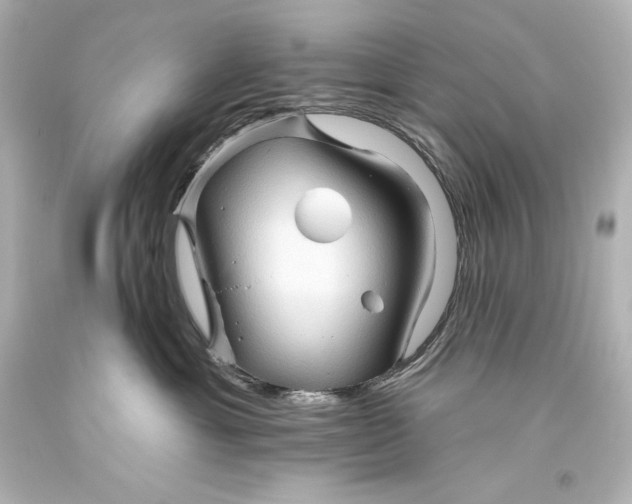 X0000093470429200711021236