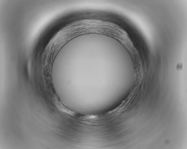 X0000093470431200711021236