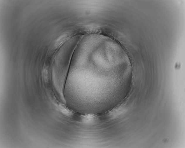 X0000093470432200711021236