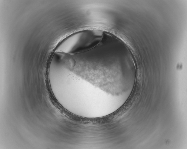 X0000093470434200711021236