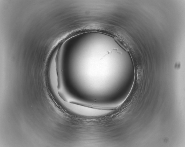 X0000093470436200711021236