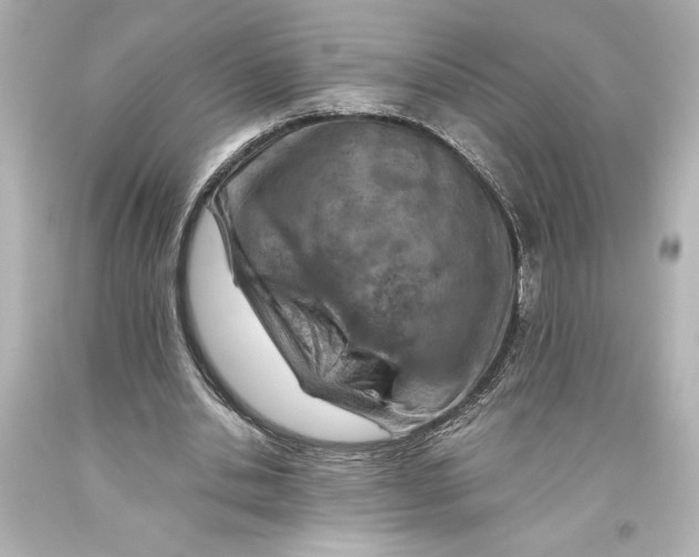 X0000093470438200711021236