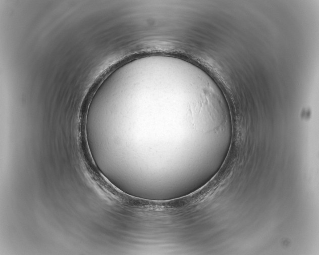 X0000093470439200711021236