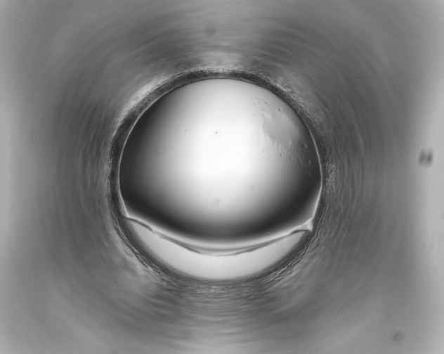 X0000093470440200711021236