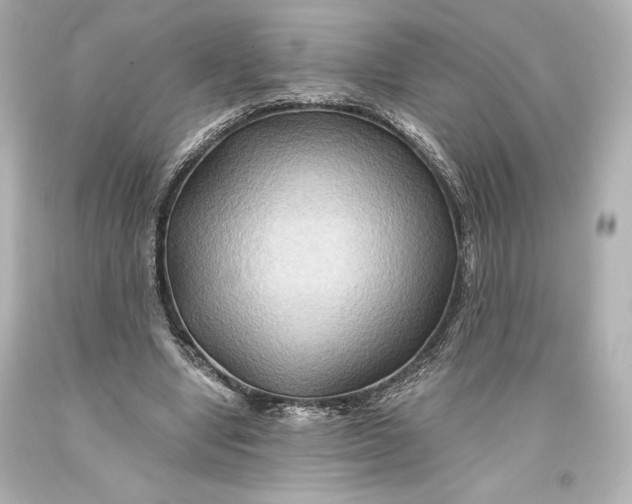 X0000093470442200711021236