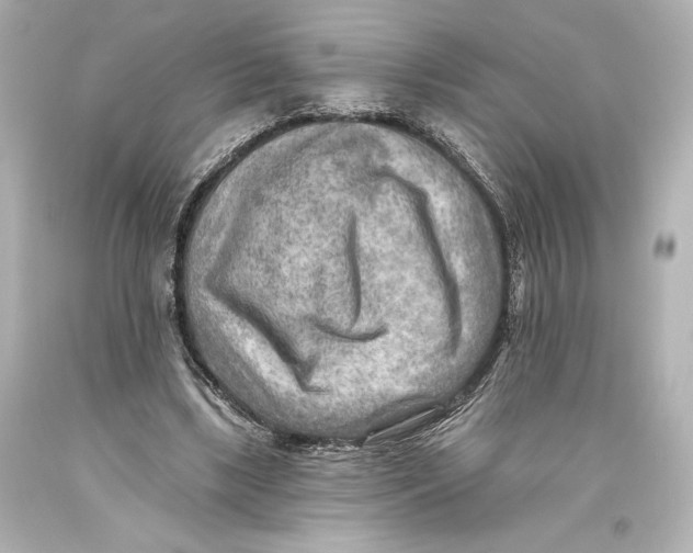 X0000093470443200711021236