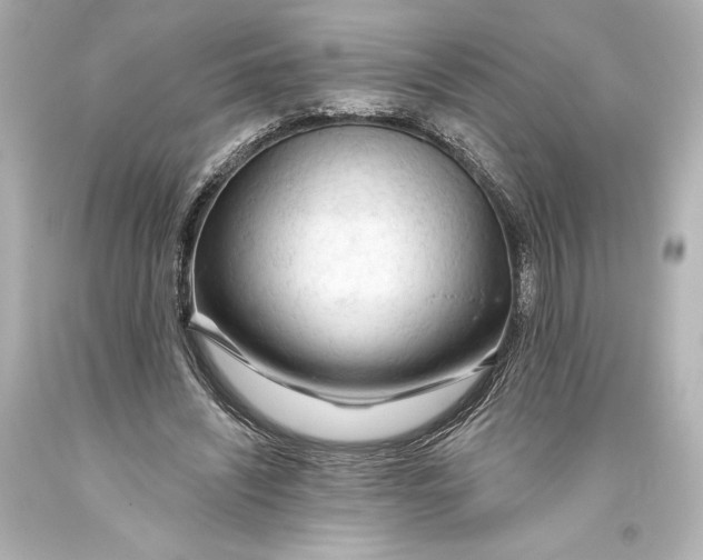 X0000093470444200711021236