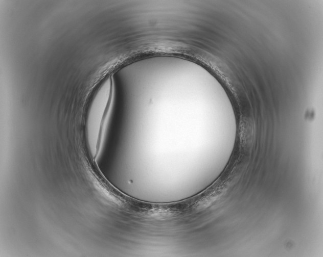 X0000093470445200711021236