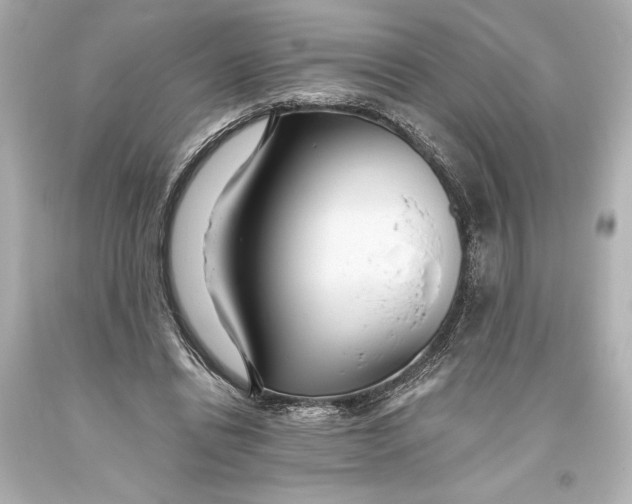 X0000093470446200711021236