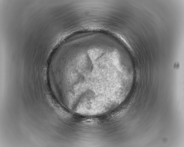 X0000093470447200711021236