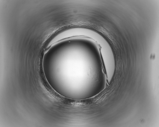 X0000093470448200711021236