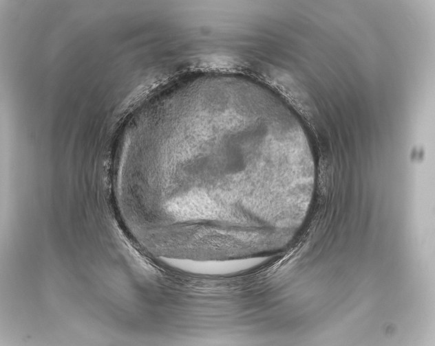 X0000093470449200711021236