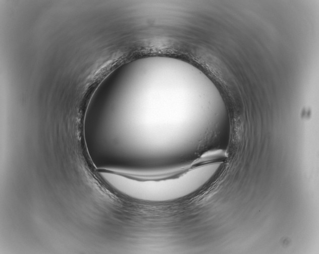 X0000093470450200711021236