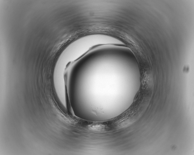 X0000093470452200711021236