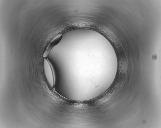 X0000093470453200711021236