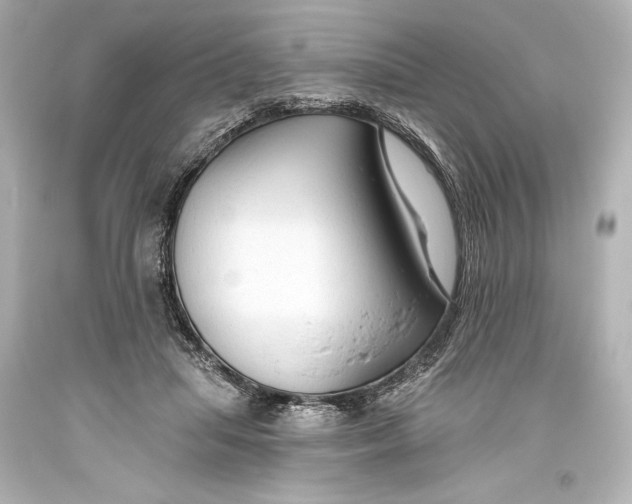 X0000093470455200711021236