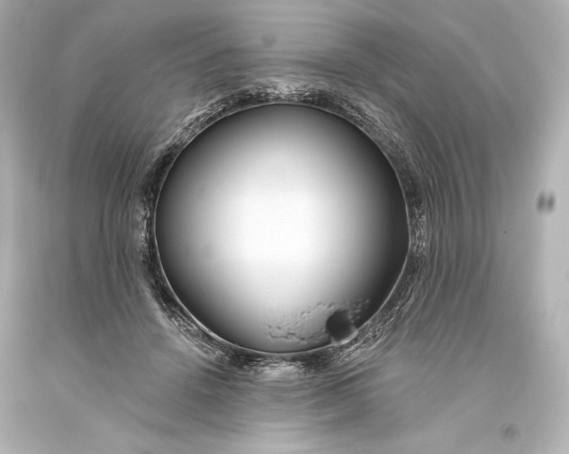 X0000093470456200711021236