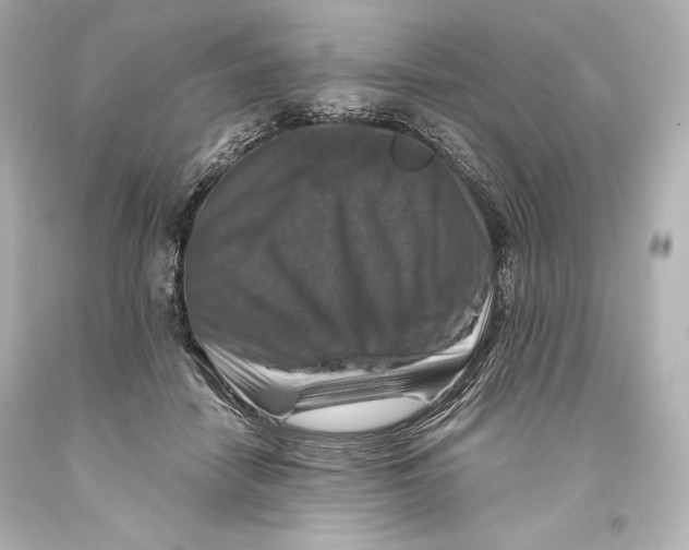 X0000093470458200711021236