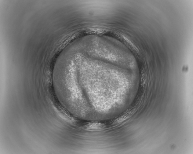 X0000093470459200711021236