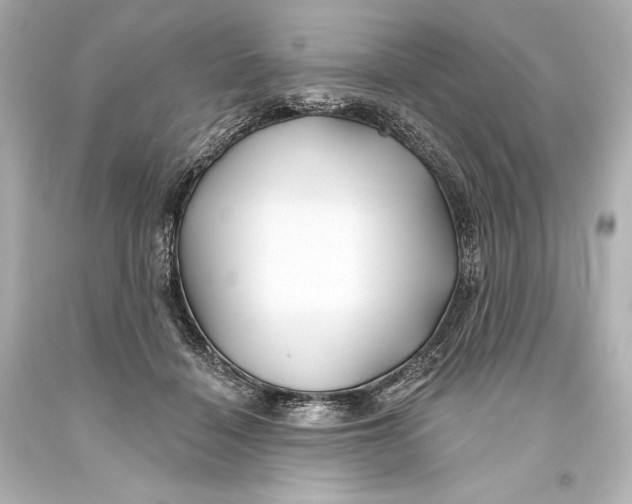 X0000093470460200711021236