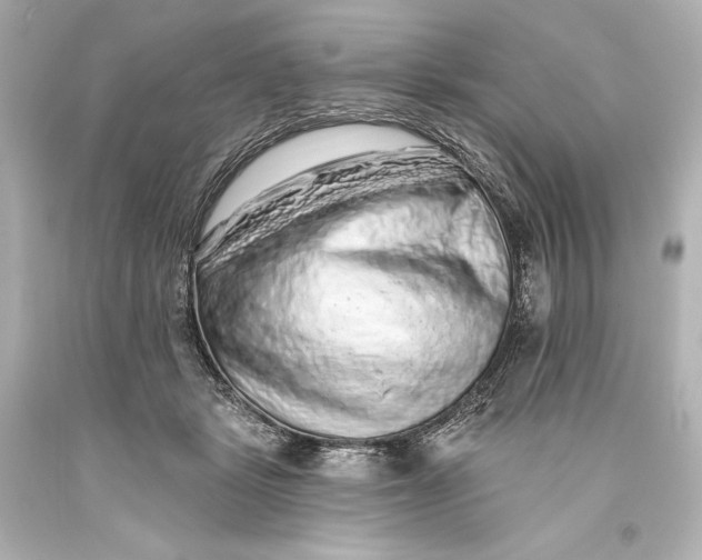 X0000093470461200711021236