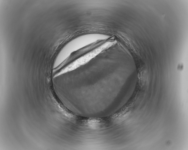 X0000093470462200711021236