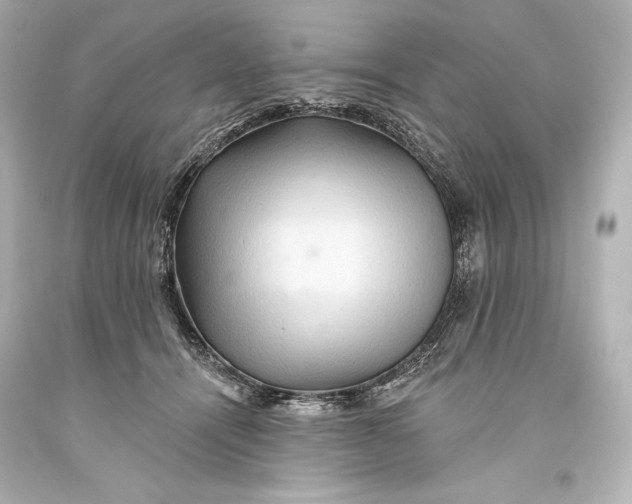 X0000093470464200711021236