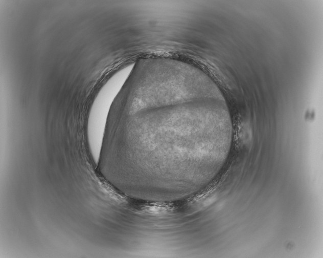 X0000093470466200711021236