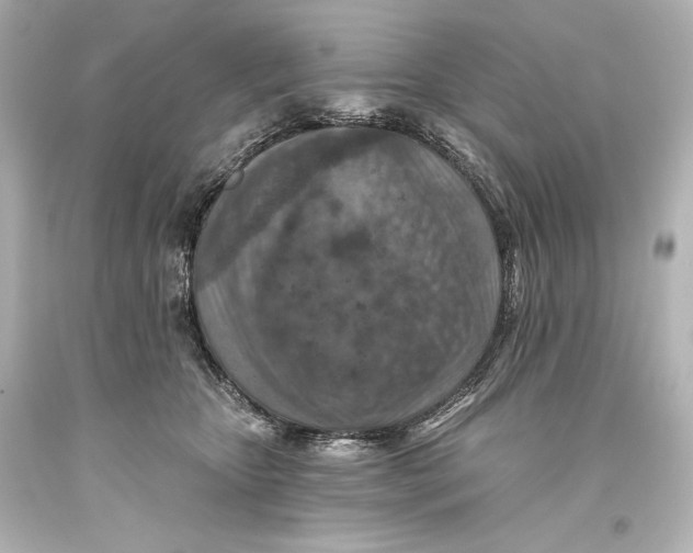 X0000093470467200711021236