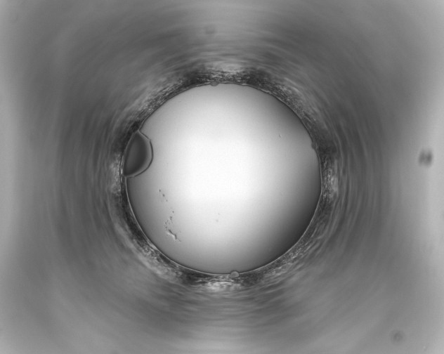 X0000093470468200711021236