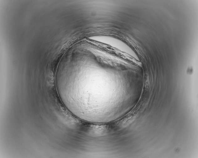 X0000093470469200711021236