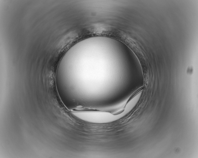 X0000093470470200711021236