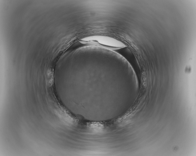 X0000093470471200711021236