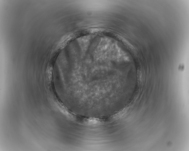 X0000093470475200711021236