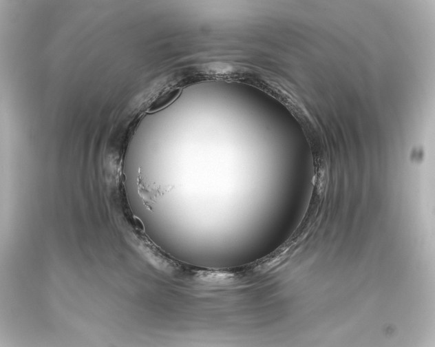 X0000093470476200711021236