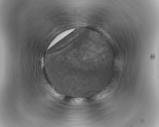 X0000093470479200711021236