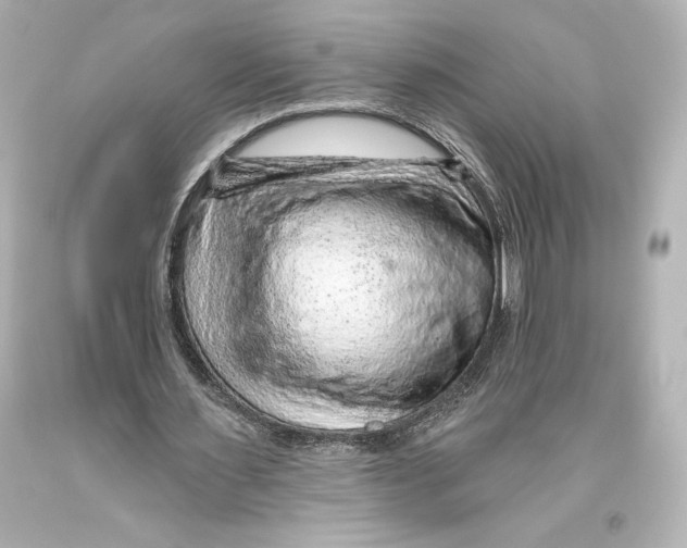 X0000093470483200711021235