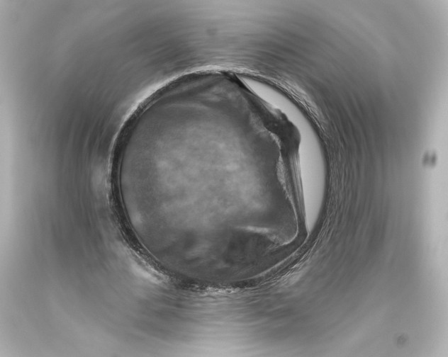 X0000093470484200711021235