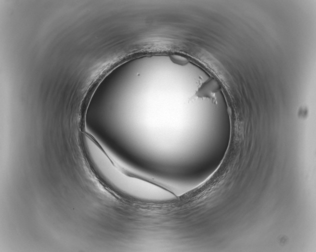 X0000093470485200711021235