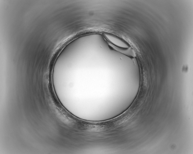 X0000093470486200711021235