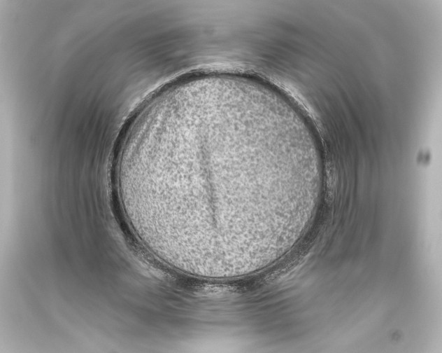 X0000093470487200711021235